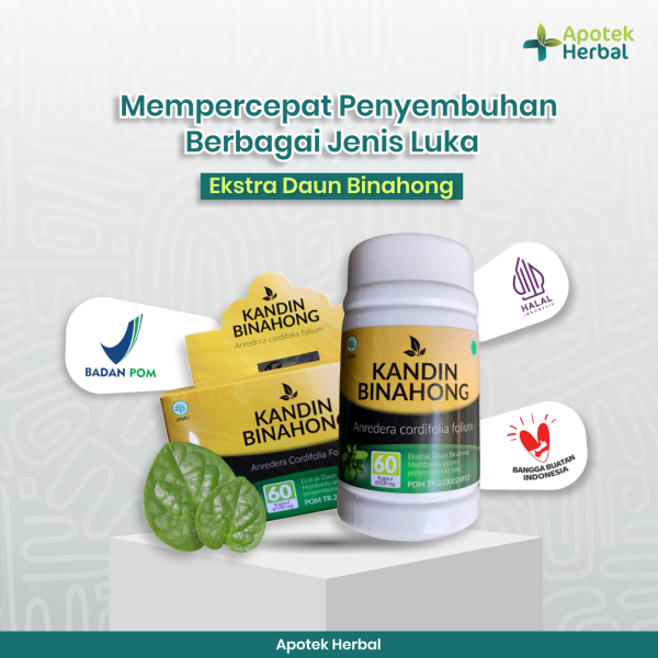 KANDIN BINAHONG - Ekstrak daun binahong